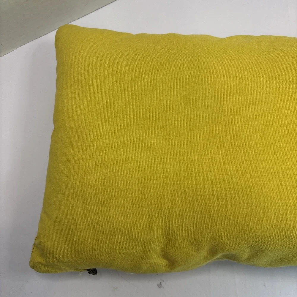 Pier 1 pier pillow
